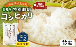 【ふるさと納税】【新米受付・令和6年産米】NAB4038 新潟県村上市桃川産 特別栽培 コシヒカリ 10kg（5kg×2袋）