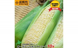 【ふるさと納税】オーガニック ホワイトコーン 10本 伊場ファーム 北海道浦幌町産 朝もぎたて とうもろこし 旬の時期にお届け 朝採り【8