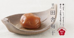 【ふるさと納税】V6015_甘口田舎梅干し 500g  紀州南高梅うめぼし