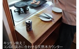 【ふるさと納税】キッチン飲みをするときにカウンターのてんぷら屋さんみたいに揚げたて出来立てをつまみながらお酒が飲めるカウンター