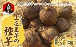 激安大特価！】 【訳あり】里芋 種芋 大和芋 日本早割 佐川急便 100kg