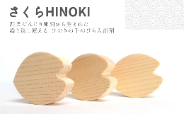 【ふるさと納税】「さくらHINOKI　hanabira」木製入浴剤