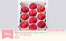 【ふるさと納税】りんご サンふじ 約3kg 特秀品 リンゴ 林檎 令和6年産 2024年産 果物 山形県産 mm-risft3