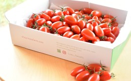【ふるさと納税】HOSONOFARMプレミアムミニトマト「スピカ」2kg