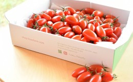 【ふるさと納税】HOSONOFARMプレミアムミニトマト「スピカ」1kg