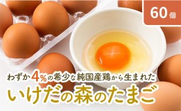 【ふるさと納税】卵 わずか4%の希少な純国産鶏 いけだの森たまご 60個 こだわり おこめのたまご 玉子 鶏卵 生卵 産地直送 冷蔵配送 TKG 