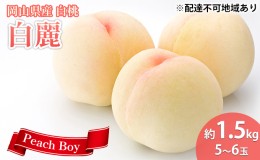 【ふるさと納税】桃 2024年 先行予約 白麗 約1.5kg 5〜6玉 岡山県 フルーツ もも 桃 モモ ピーチ 人気 新鮮 フルーツ 桃 デザート フルー