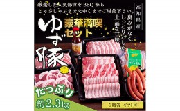 【ふるさと納税】【高知のブランド豚/ゆず豚】豪華満喫セット（約2.3kg）- しゃぶしゃぶ 豚しゃぶ 豚バラ ロース 豚バラスライス 焼肉 BB