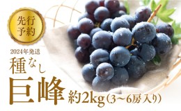 【ふるさと納税】ぶどう 先行予約 種なし 巨峰 約 2kg 箱3〜6房入り 巨峰種無し フルーツ 果物 旬 ブドウ 葡萄 おやつ 信州 長野県 長野