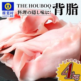 【ふるさと納税】HB-107 【業務用】 THE HOUBOQ 旨味たっぷり 豚背脂 合計4Kg【日本三大秘境 豚肉の背脂】ラーメン チャーハン 隠し味 料