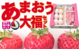 【ふるさと納税】いちご 2024年12月より発送 うるう農園のあまおう大福キット（あまおう1パック＋大福6個セット）※配送不可：離島