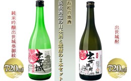 【ふるさと納税】浜松の地酒　浜松酒造の日本酒と焼酎の2本セット（720ml×2本）【純米吟醸酒 米焼酎】