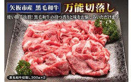 【ふるさと納税】矢板産 黒毛和牛万能切落し《敷島ファーム》｜和牛 お肉 牛肉 産地直送 国産 グルメ [0448]