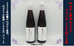 【ふるさと納税】叶内さん家の山ぶどうジュース（100％原液）720ml×2本