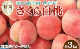 【ふるさと納税】No.171 もも（さくら白桃）特秀　3kg　桑折町産　JAふくしま未来　桃 ／ 果物 フルーツ モモ 福島県 特産品