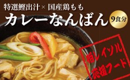 【ふるさと納税】柏レイソル応援　カレーなんばん（9食）