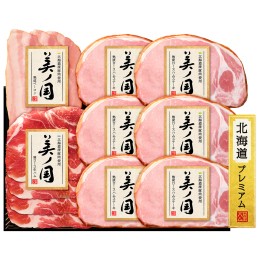 【ふるさと納税】日本ハム 美ノ国 ギフトセットB 肉 にく 贈答 ギフト 詰め合わせ ハム 生ハム ロース ステーキ ベーコン [AA075ci] 