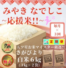 【ふるさと納税】CI530_【みやきなでしこ】応援米【３回定期便】さがびより白米６kg（３kg×２袋）