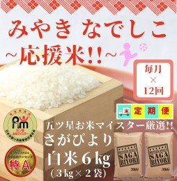 【ふるさと納税】CI468_【みやきなでしこ】応援米【１２回定期便】さがびより白米６kg（３kg×２袋）