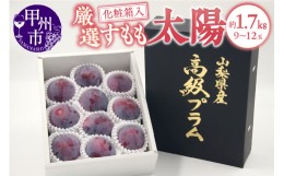 【ふるさと納税】甲州市産 すもも『太陽』約1.7kg（化粧箱9〜12玉）【2024年発送】（APX）B-872