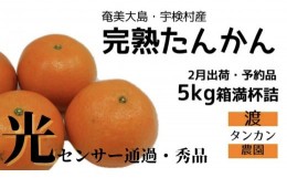 【ふるさと納税】【30箱限定】光センサー秀品・渡タンカン農園・奄美大島産たんかん5kg　2025年2月〜出荷開始