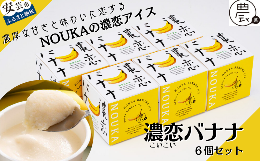 【ふるさと納税】30-05 高知県産・高糖度完熟バナナアイス NOUKAの濃恋バナナ 6個セット