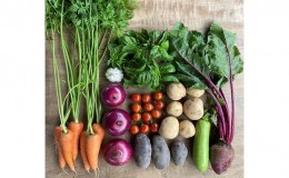 【ふるさと納税】季節の野菜セット6か月連続お届け　栽培期間中　無農薬、無科学肥料