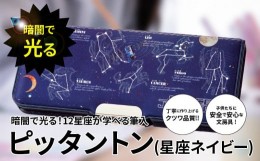 【ふるさと納税】ピッタントン(星座ネイビー)　暗闇で輝く星座 光る オシャレな蓄光筆箱で勉強も楽しく ピッタントン 星座 ネイビー 筆記