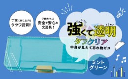 【ふるさと納税】【色：ミントグリーン】タフクリア　ペンケース 筆箱 タフクリア ミントグリーン プラスチック 2ドアタイプ 筆入 丈夫 