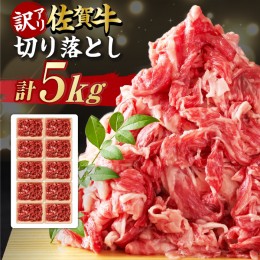 【ふるさと納税】【不揃い訳あり・部位おまかせ】 佐賀牛 切り落とし 肩orバラ 計5kg （500g×10P） 吉野ヶ里町 [FDB002]