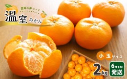 【ふるさと納税】温室 みかん 小玉 約 2kg | 果物 みかん フルーツ 熊本 玉名