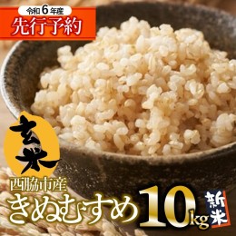 【ふるさと納税】【令和５年産 きぬむすめ】玄米10kg（10kg×1袋）新米 2023年産【５営業日以内に発送】(12-37)