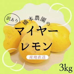 【ふるさと納税】【先行予約】橋本農園の 訳あり マイヤーレモン 3kg【2024年12月初旬から2025年1月初旬までに順次発送】 / レモン マイ