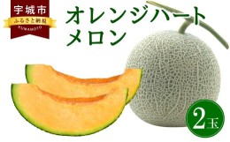 【ふるさと納税】【先行予約】メロン（オレンジハート）約3.5kg【11月上旬から11月下旬発送予定】