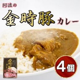 【ふるさと納税】国産 豚肉 カレー レトルト 4箱 セット 中辛 阿波の金時豚