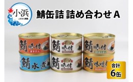 【ふるさと納税】鯖缶詰 6缶 詰め合わせＡ 180g×6缶 本醸造醤油仕立て 唐辛子 生姜 味噌煮 水煮