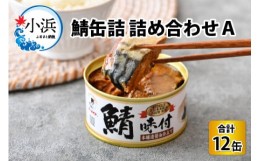 【ふるさと納税】鯖缶詰12缶詰め合わせＡ 180g×12缶　本醸造醤油仕立て、唐辛子、生姜、味噌煮、水煮 [B-003031]