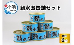 【ふるさと納税】鯖水煮缶詰6缶セット 180g×6缶 