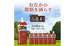 【ふるさと納税】サントリー烏龍茶OTPP（機能性表示食品）2L×6本 ペットボトル