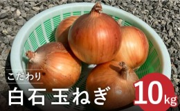 【ふるさと納税】【先行予約】【農家直送！】こだわり 白石玉ねぎ 10kg【れんこんの家やました】 [IAW009]