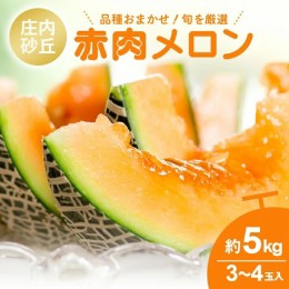 【ふるさと納税】SA2081　庄内砂丘 赤肉メロン　約5kg(3〜4玉入)　品種おまかせ