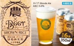 【ふるさと納税】TDM 1874 Brewery　クラフトビール　農×Beer（のびーる）はるみ玄米（350ml×6本）【お酒・地ビール・酒】
