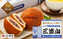 【ふるさと納税】I☆YOKOHAMA 三笠山5個入