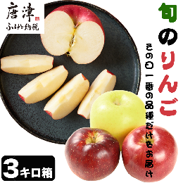 【ふるさと納税】『予約受付』【令和6年8月中旬発送】厳選 九州旬のりんご 3キロ箱(8〜12玉入) 九州 リンゴ 林檎 フルーツ 果物 つるが 