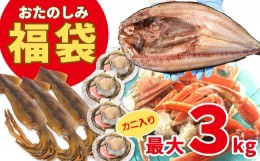 【ふるさと納税】【緊急支援品】北海道の海鮮＜おたのしみ福袋＞ 訳あり ズワイガニ入り 冷凍 5種 最大2.5〜3kg 事業者支援 中国禁輸措置