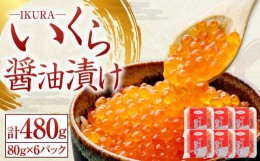 【ふるさと納税】いくら 醤油漬け 80g×6P 計480g 北海道産 [404]