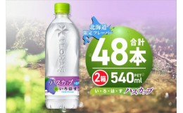 【ふるさと納税】い・ろ・は・す ハスカップ 540ml PET×48本 いろはす 北海道限定 フレーバー ミネラルウォーター 飲料水 ローカロリー 