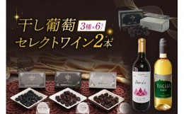 【ふるさと納税】Ａ北海道完全無添加干し葡萄と札幌産セレクトワイン2本のマリアージュセット