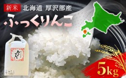 【ふるさと納税】【令和5年産新米】北海道厚沢部産ふっくりんこ5kg※2023年11月新米からお届け ふるさと納税 人気 おすすめ ランキング 