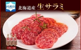 【ふるさと納税】北海道産 生サラミ 120g 3個 セット サラミ 豚肉 豚 ポーク ブロック 乳酸菌 発酵 熟成 おつまみ 国産 冷蔵 パーティー 